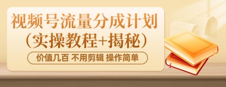 价值几百上千不用剪辑简单操作视频号流量分成计划（实操教程+揭秘）-天韵资源网