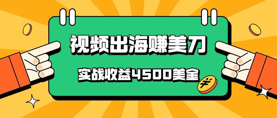 国内爆款视频出海赚美刀，实战收益4500美金，批量无脑搬运，无需经验直接上手-天韵资源网