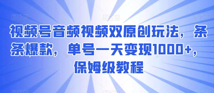 视频号音频视频双原创玩法，条条爆款，单号一天变现1000+，保姆级教程【揭秘】-天韵资源网