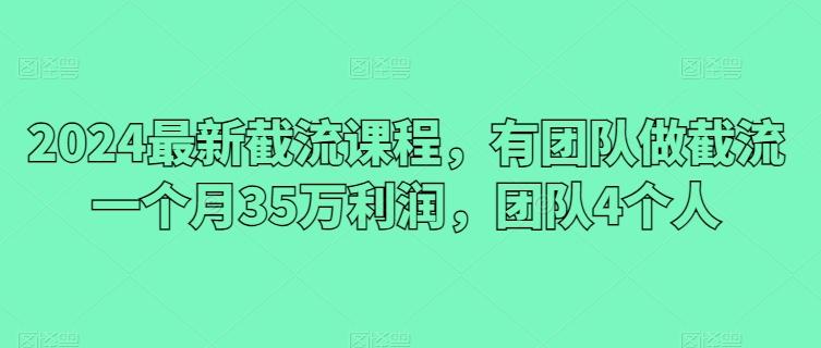 2024最新截流课程，有团队做截流一个月35万利润，团队4个人-天韵资源网