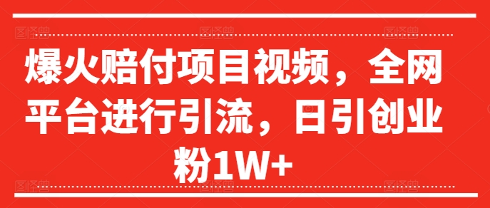 爆火赔付项目视频，全网平台进行引流，日引创业粉1W+【揭秘】-天韵资源网