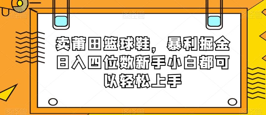 卖莆田篮球鞋，暴利掘金日入四位数新手小白都可以轻松上手【揭秘】-天韵资源网