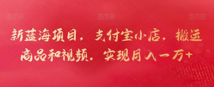 新蓝海项目，支付宝小店，搬运商品和视频，实现月入一万+【揭秘】-天韵资源网