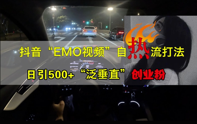 抖音EMO视频自热打法，日引500+“泛垂直”创业粉-天韵资源网