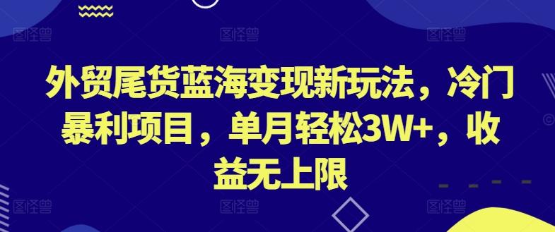 外贸尾货蓝海变现新玩法，冷门暴利项目，单月轻松3W+，收益无上限【揭秘】-天韵资源网