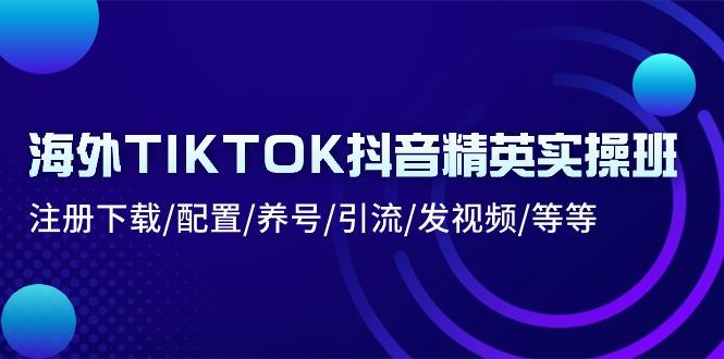 海外TIKTOK抖音精英实操班：注册下载/配置/养号/引流/发视频/等等-天韵资源网