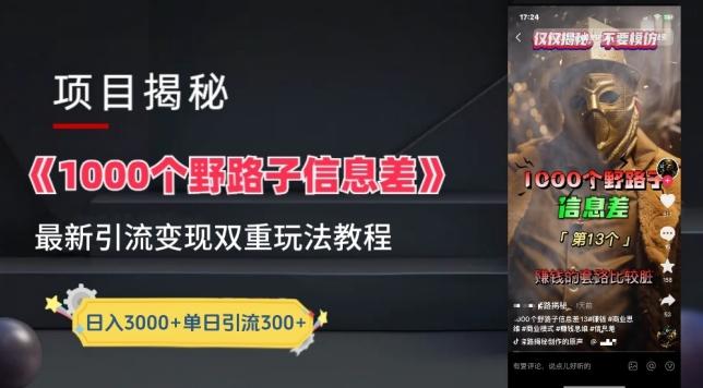 一千个野路子信息差最新玩法教程-变现+引流的玩法具体拆解【揭秘】-天韵资源网
