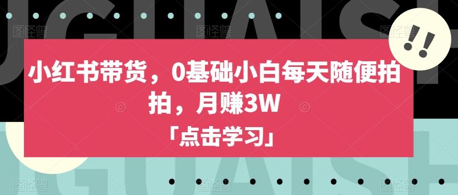 小红书带货，0基础小白每天随便拍拍，月赚3W【揭秘】-天韵资源网