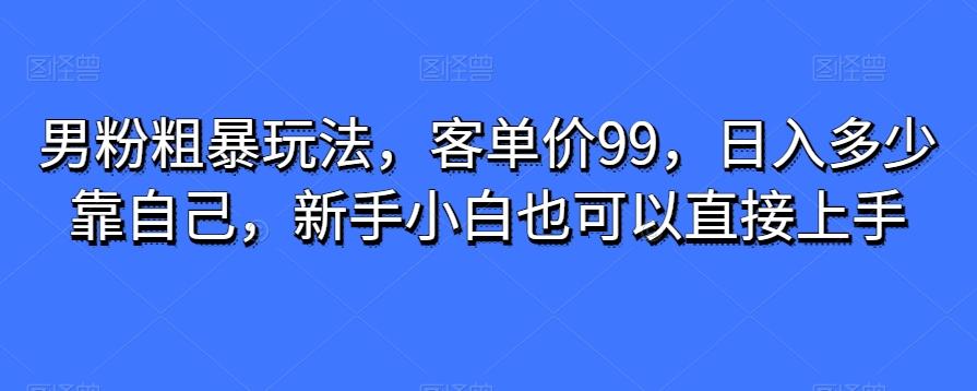 男粉粗暴玩法，客单价99，日入多少靠自己，新手小白也可以直接上手-天韵资源网