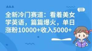 全新冷门赛道：看着美女学英语，篇篇爆火，单日涨粉10000+收入5000+-天韵资源网