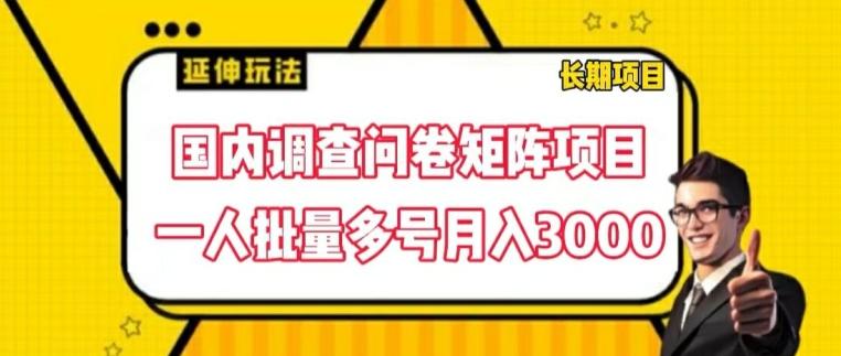 国内调查问卷矩阵项目，一人批量多号月入3000【揭秘】-天韵资源网