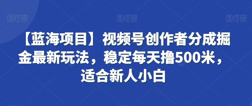 【蓝海项目】视频号创作者分成掘金最新玩法，稳定每天撸500米，适合新人小白【揭秘】-天韵资源网