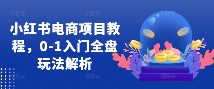 小红书电商项目教程，0-1入门全盘玩法解析-天韵资源网