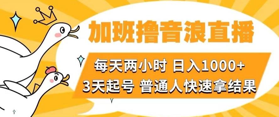 加班撸音浪直播，每天两小时，日入1000+，直播话术才3句，3天起号，普通人快速拿结果【揭秘】-天韵资源网