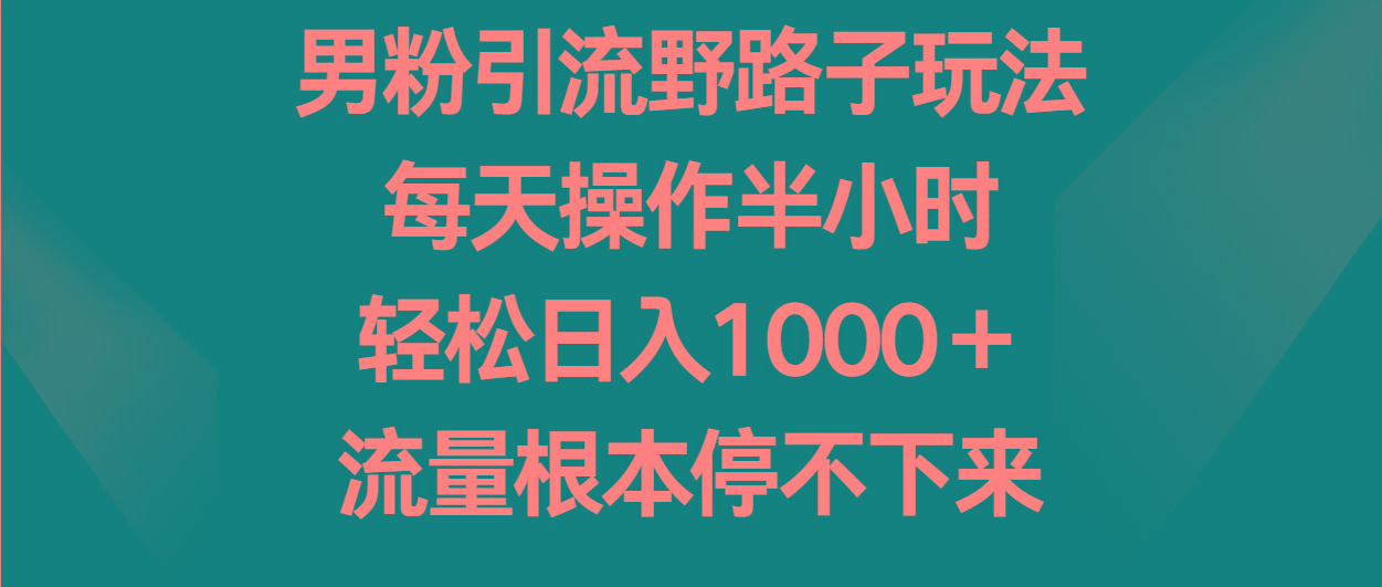 男粉引流野路子玩法，每天操作半小时轻松日入1000＋，流量根本停不下来-天韵资源网