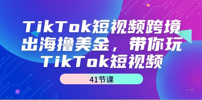TikTok短视频跨境出海撸美金，带你玩TikTok短视频(41节课)-天韵资源网
