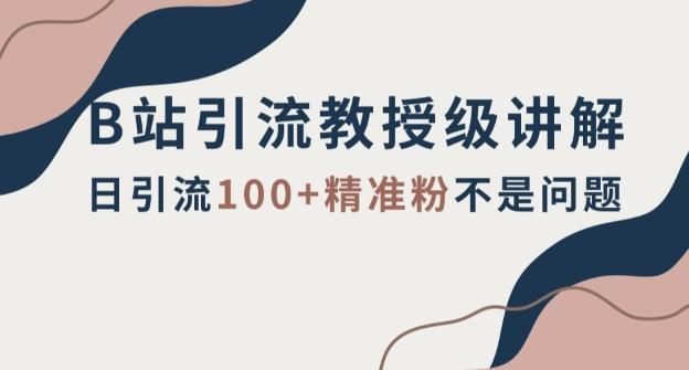 B站引流教授级讲解，细节满满，日引流100+精准粉不是问题【揭秘】-天韵资源网