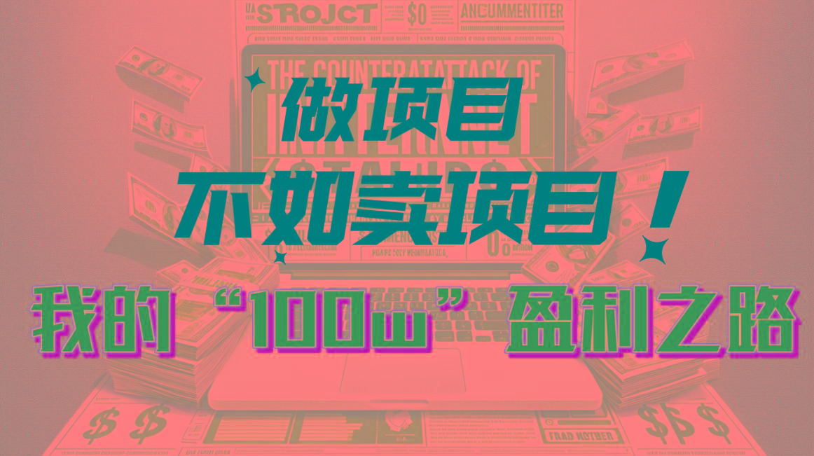 为什么做项目不如卖项目？我的100W+盈利之路-天韵资源网