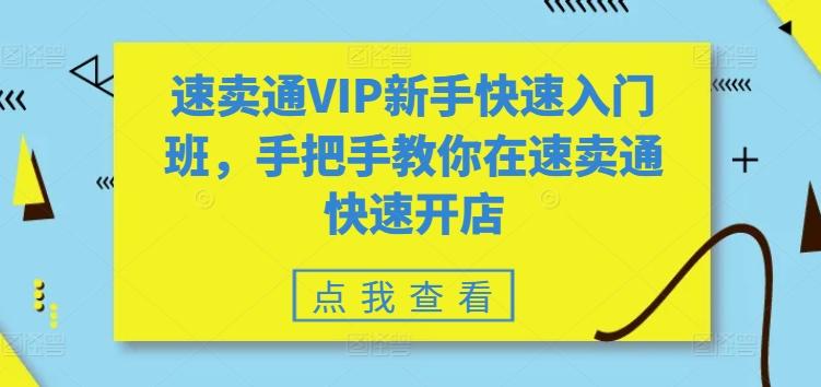 速卖通VIP新手快速入门班，手把手教你在速卖通快速开店-天韵资源网