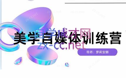 安娜·美学自媒体IP系统课-天韵资源网