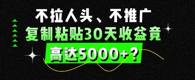 不拉人头、不推广，复制粘贴30天收益竟高达5000+？-天韵资源网