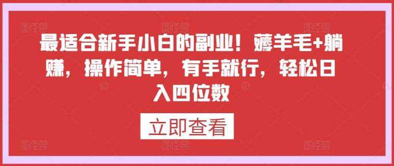 最适合新手小白的副业！薅羊毛+躺赚，操作简单，有手就行，轻松日入四位数【揭秘】-天韵资源网