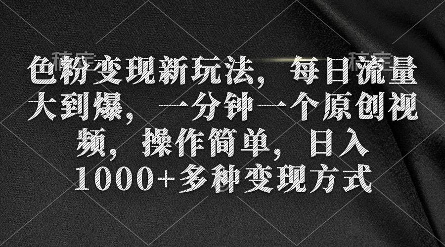 (9282期)色粉变现新玩法，每日流量大到爆，一分钟一个原创视频，操作简单，日入1…-天韵资源网
