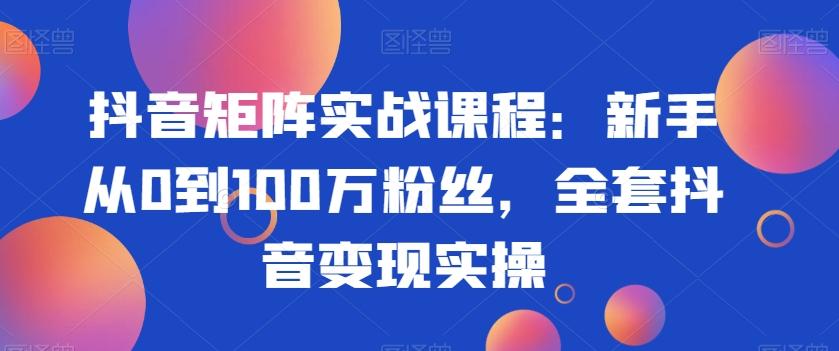 抖音矩阵实战课程：新手从0到100万粉丝，全套抖音变现实操-天韵资源网