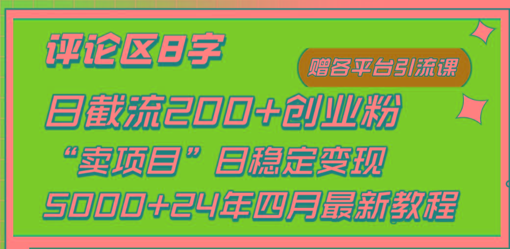 (9851期)评论区8字日载流200+创业粉  日稳定变现5000+24年四月最新教程！-天韵资源网