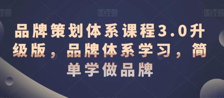 品牌策划体系课程3.0升级版，品牌体系学习，简单学做品牌-天韵资源网