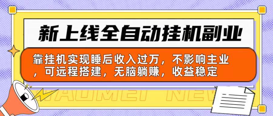 新上线全自动挂机副业：靠挂机实现睡后收入过万，不影响主业可远程搭建…-天韵资源网