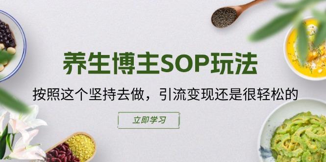 养生博主SOP玩法，按照这个坚持去做，引流变现还是很轻松的-天韵资源网