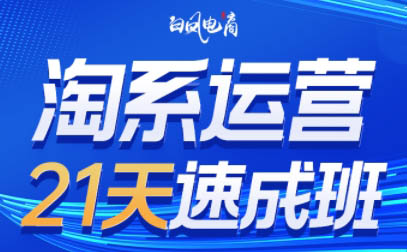 淘系运营21天速成班(更新9月)-天韵资源网