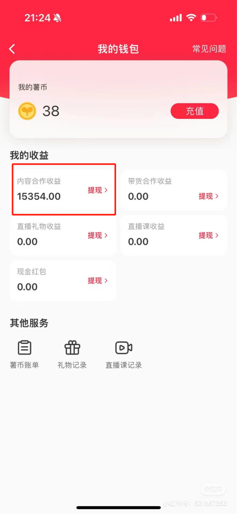 热门评论引爆小红书流量，作品制作简单，广告接到手软，月入过万不是梦-天韵资源网