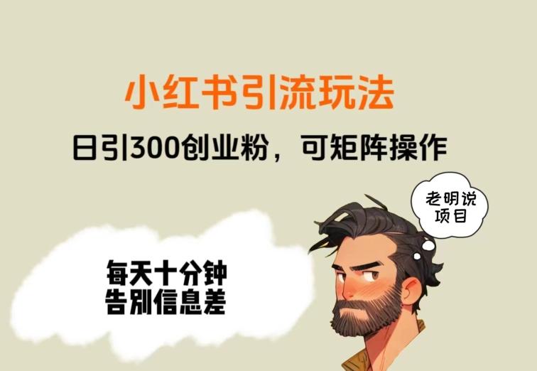 靠小红书视频日印300粉，两分钟一个视频轻松矩阵-天韵资源网