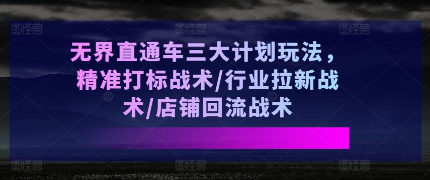 无界直通车三大计划玩法，精准打标战术/行业拉新战术/店铺回流战术-天韵资源网