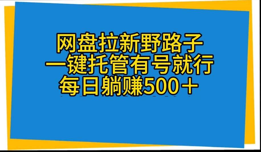 网盘拉新野路子，一键托管有号就行，全自动代发视频，每日躺赚500＋-天韵资源网