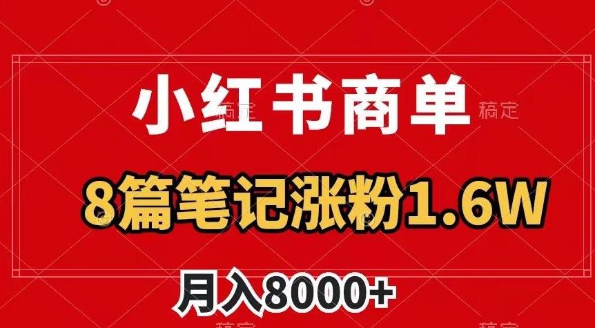 小红书商单最新玩法，8篇笔记涨粉1.6w，作品制作简单，月入8000+【揭秘】-天韵资源网