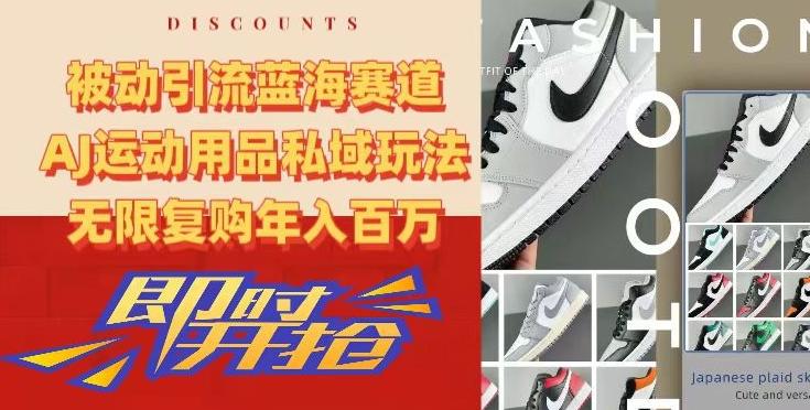 被动引流蓝海赛道，AJ运动用品私域玩法，无限复购年入百万【揭秘】-天韵资源网
