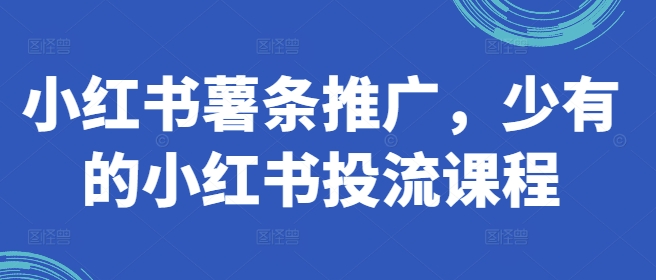 小红书薯条推广，少有的小红书投流课程-天韵资源网