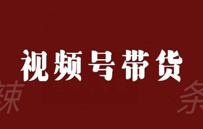 视频号带货联盟，赚信息差的带货钱，只需手机随时随地都可以做！-天韵资源网