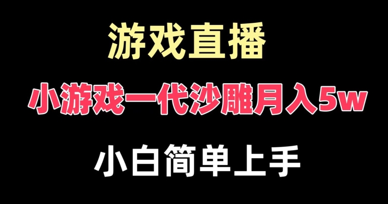 玩小游戏一代沙雕月入5w，爆裂变现，快速拿结果，高级保姆式教学【揭秘】-天韵资源网