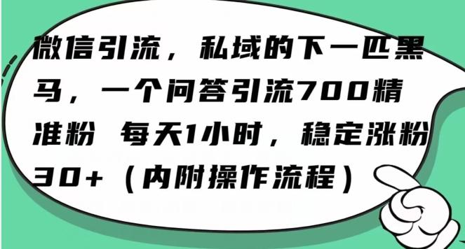 怎么搞精准创业粉？微信新赛道，每天一小时，利用Ai一个问答日引100精准粉-天韵资源网