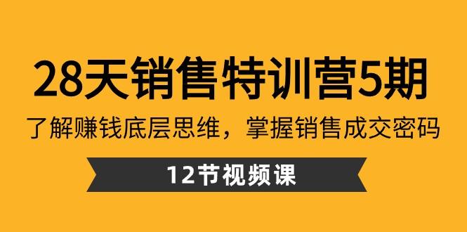 28天销售特训营5期：了解赚钱底层思维，掌握销售成交密码（12节课）-天韵资源网