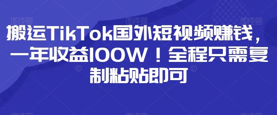 搬运TikTok国外短视频赚钱，一年收益100W！全程只需复制粘贴即可-天韵资源网