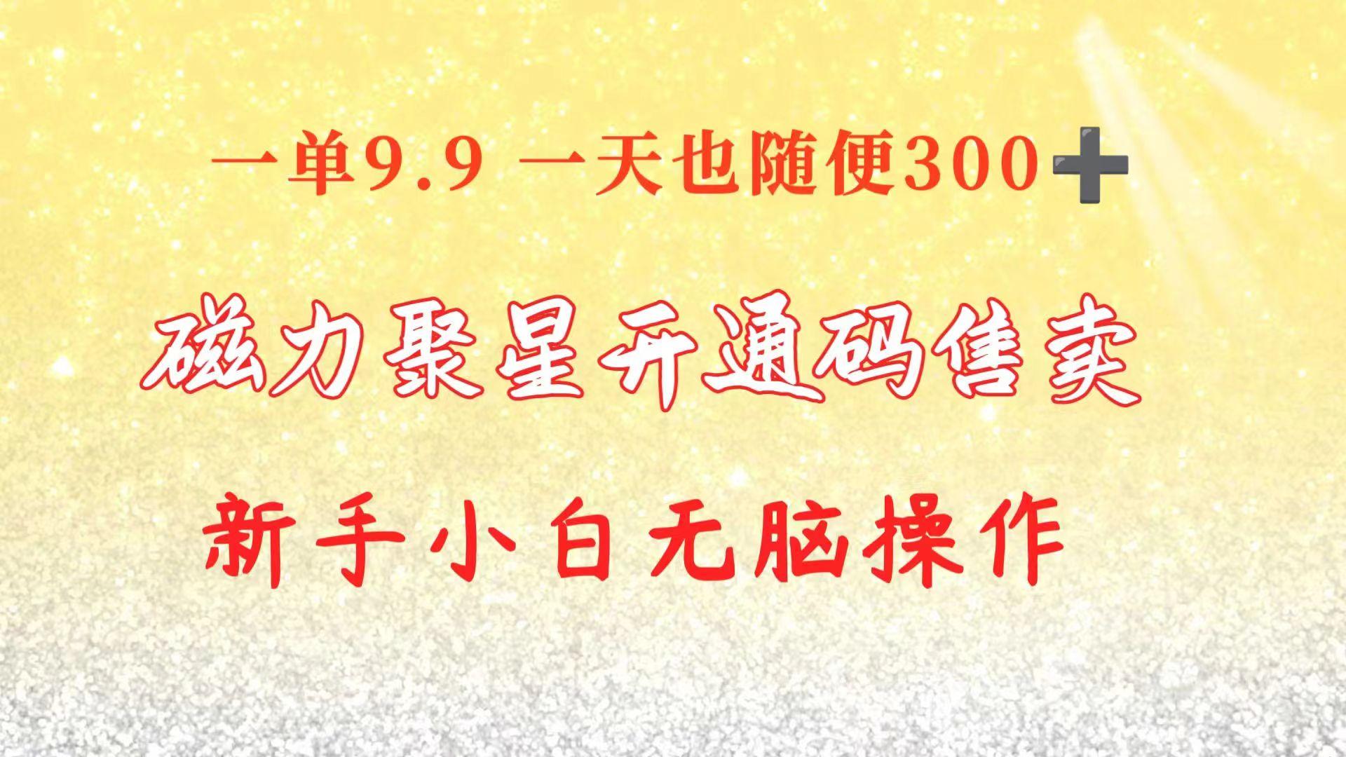 快手磁力聚星码信息差 售卖  一单卖9.9  一天也轻松300+ 新手小白无脑操作-天韵资源网