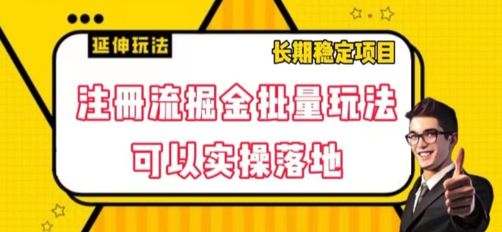 注册流掘金批量玩法，可以实操落地【揭秘】-天韵资源网