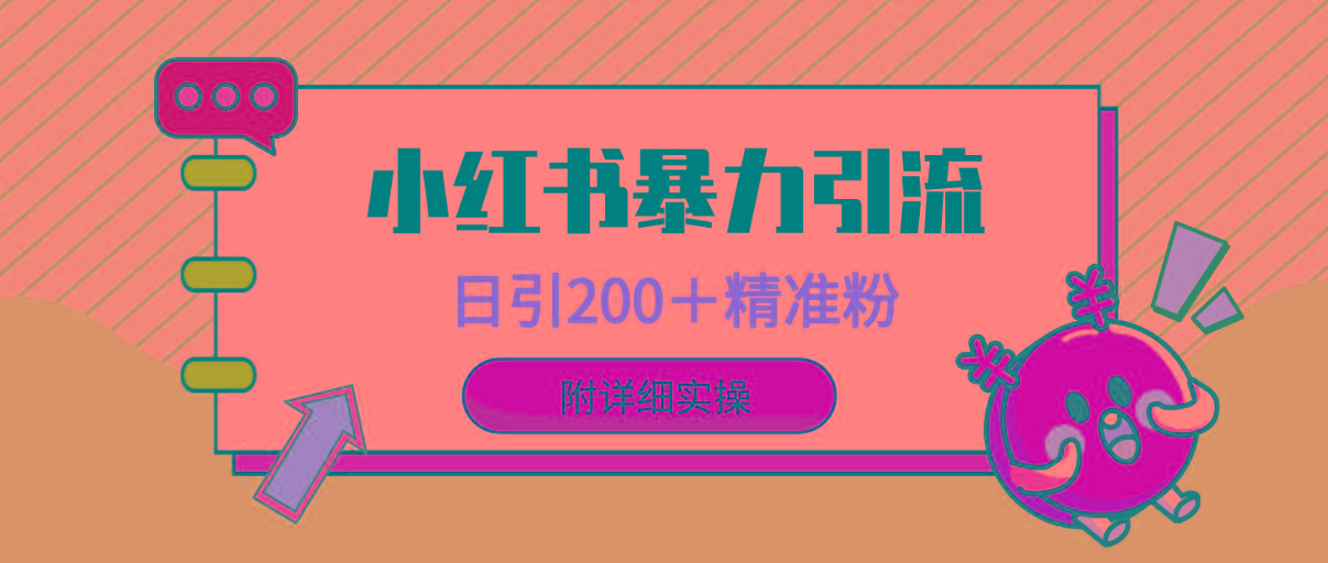 (9582期)小红书暴力引流大法，日引200＋精准粉，一键触达上万人，附详细实操-天韵资源网