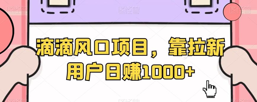 滴滴风口项目，靠拉新用户日赚1000+-天韵资源网