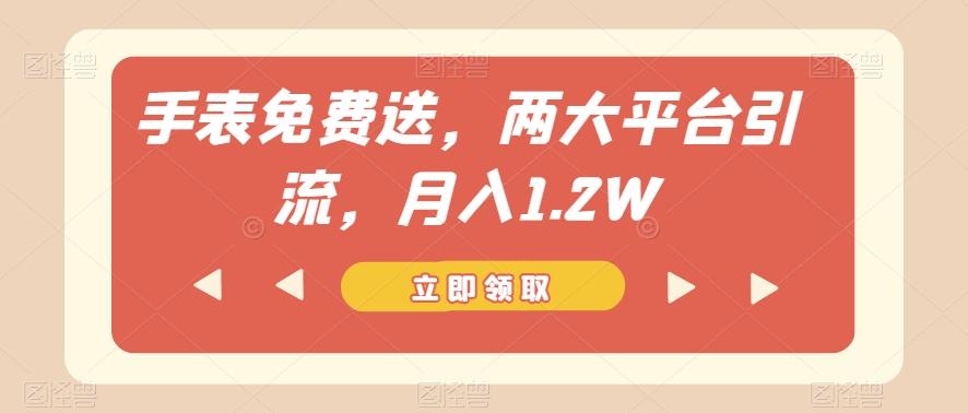手表免费送，两大平台引流，月入1.2W【揭秘】-天韵资源网